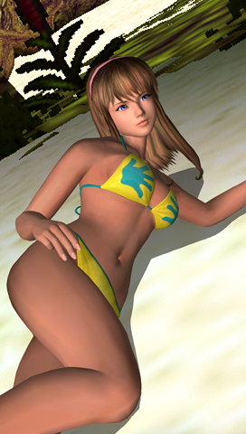 Illustration for article titled Dead Or Alive Paradise Screens